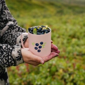 Cruisin’ for Caffeine: Your Guide to Popular Drive-Thru Coffee in Alaska